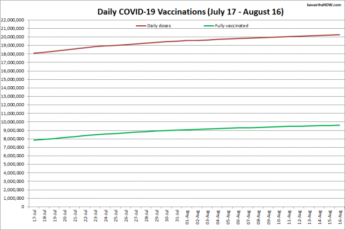 COVID-19 vaccinations in Ontario from July 17 - August 16, 2021. The red line is the cumulative number of daily doses administered and the green line is the cumulative number of people fully vaccinated with two doses of vaccine. (Graphic: kawarthaNOW.com)