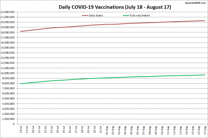 COVID-19 vaccinations in Ontario from July 18 - August 17, 2021. The red line is the cumulative number of daily doses administered and the green line is the cumulative number of people fully vaccinated with two doses of vaccine. (Graphic: kawarthaNOW.com)