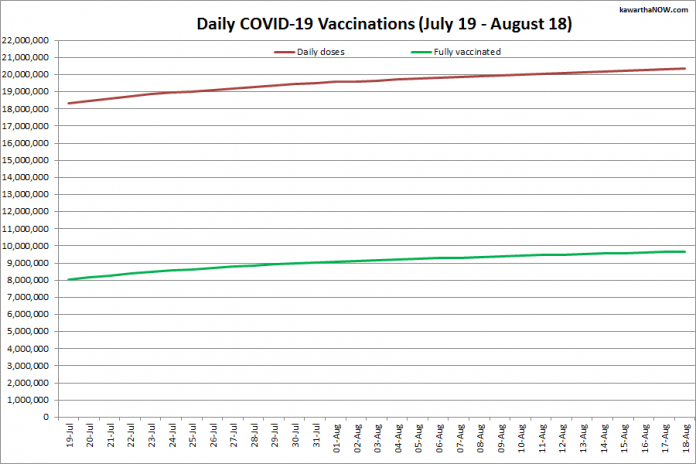 COVID-19 vaccinations in Ontario from July 19 - August 18, 2021. The red line is the cumulative number of daily doses administered and the green line is the cumulative number of people fully vaccinated with two doses of vaccine. (Graphic: kawarthaNOW.com)