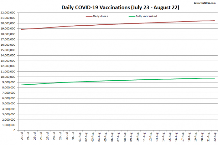 COVID-19 vaccinations in Ontario from July 23 - August 22, 2021. The red line is the cumulative number of daily doses administered and the green line is the cumulative number of people fully vaccinated with two doses of vaccine. (Graphic: kawarthaNOW.com