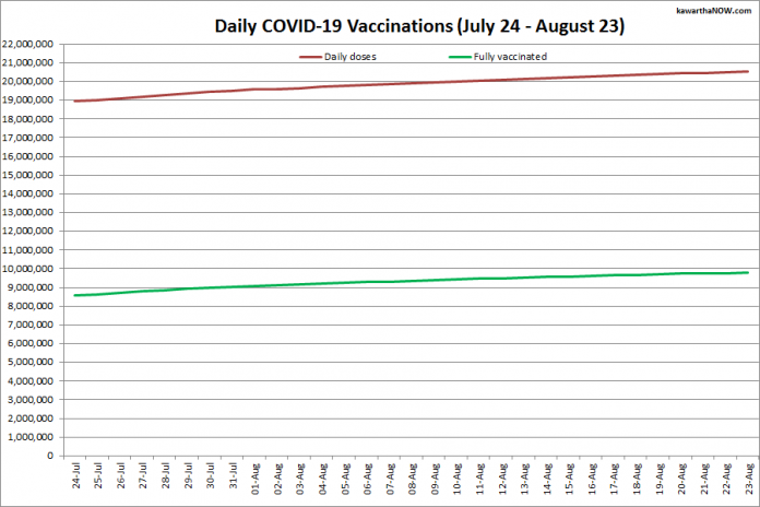 COVID-19 vaccinations in Ontario from July 24 - August 23, 2021. The red line is the cumulative number of daily doses administered and the green line is the cumulative number of people fully vaccinated with two doses of vaccine. (Graphic: kawarthaNOW.com)