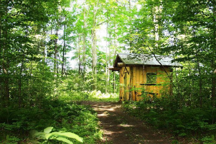 Escape Maze Peterborough has four different outdoor adventure games. 'The Young Warrior Trail' is designed specifically for kids, 'The Gold Rush Trail,' and 'The Pioneer Trail' are pioneer trails based on local history, and 'The Great Bear Trail' is a First Nations trail developed in collaboration with an Indigenous historian. (Photo courtesy of Escape Maze Peterborough)