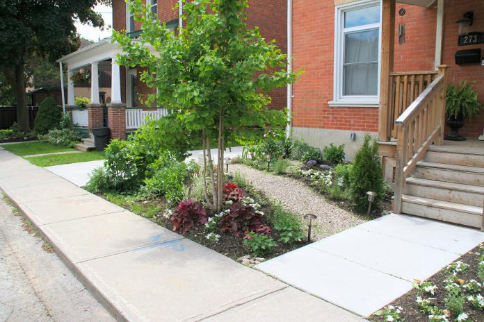 A rain garden between the sidewalk and pathway on a property in Peterborough's The Avenues neighbourhood, installed with the support of GreenUP's Ready for Rain program in 2017. To qualify for the City of Peterborough's Rain Garden Subsidy Program, a rain garden must be installed  at least three metres (10 feet) from any building foundations. (Photo: Ben Hargreaves)