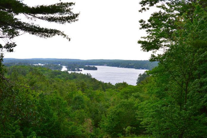 A view of Stony Lake from the Jeffrey-Cowan Forest Preserve. one of the 22 properties protected by the Kawartha Land Trust. The proposed trail network provides a way to connect protected properties and maintain a natural corridor of undeveloped land that's important for species migration, especially during climate change.  (Photo courtesy of Kawartha Land Trust)