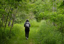 Kawartha Land Trust, a non-government charitable organization committed to protecting land in the Kawarthas, is seeking $300,000 in donations to create a 14-kilometre trail route stretching from Stony Lake to Lakefield. The proposed trail route is situated on a stretch of land chosen for its appealing natural features for visitors to enjoy. It is also a vulnerable and important stretch of land in the Kawarthas that is still naturalized. (Photo courtesy of Kawartha Land Trust)