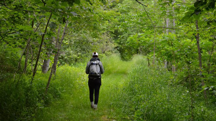 Kawartha Land Trust, a non-government charitable organization committed to protecting land in the Kawarthas, is seeking $300,000 in donations to create a 14-kilometre trail route stretching from Stony Lake to Lakefield. The proposed trail route is situated on a stretch of land chosen for its appealing natural features for visitors to enjoy. It is also a vulnerable and important stretch of land in the Kawarthas that is still naturalized. (Photo courtesy of Kawartha Land Trust)