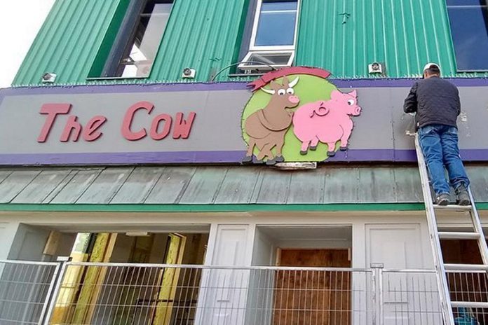 Fenelon Falls' iconic The Cow & Sow Eatery is currently undergoing major renovations, with a grand reopening scheduled for September. A new sign was installed at the end of July. (Photo: The Cow & Sow Eatery)