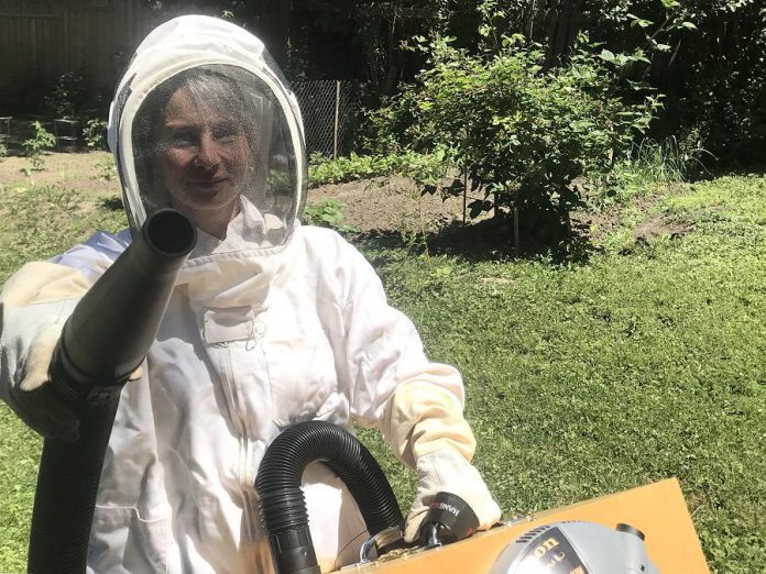 Christine Jaros launched her chemical-free pest control business, VerminX, during the pandemic. While she can handle a variety of pest issues, Christine's specialty is the removal of wasps, bees, and hornets from inside buildings. As a beekeeper, she understands the ecological value of honeybees and relocates them instead of destroying them. (Photo: Logan Stabler)