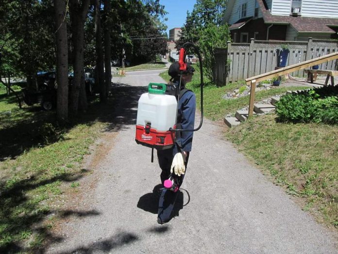 After obtaining her exterminator's licence,  VerminX owner Christine Jaros received the help she needed to launch her business (along with a $5,000 grant) by participating in Starter Company Plus, a provincially funded program for entrepreneuers administered by Peterborough & the Kawarthas Economic Development's Business Advisory Centre. (Photo: Logan Stabler)