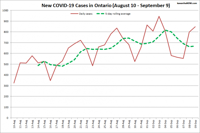 COVID-19 cases in Ontario from August 10 - September 9, 2021. The red line is the number of new cases reported daily, and the dotted green line is a five-day rolling average of new cases. (Graphic: kawarthaNOW.com)