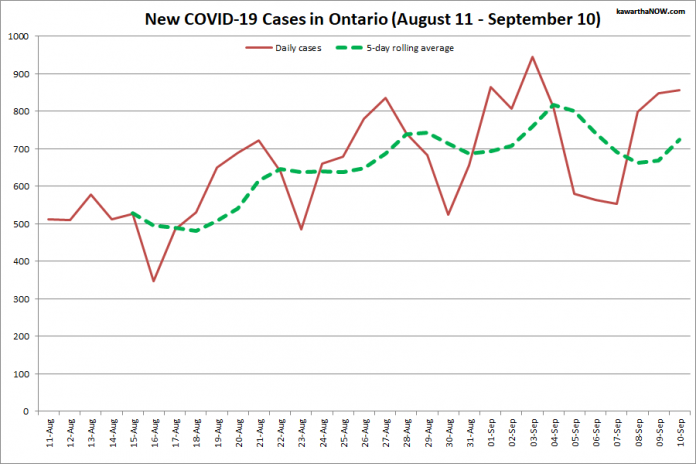 COVID-19 cases in Ontario from August 11 - September 10, 2021. The red line is the number of new cases reported daily, and the dotted green line is a five-day rolling average of new cases. (Graphic: kawarthaNOW.com)