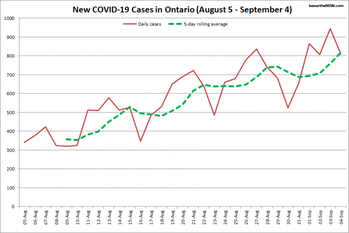 COVID-19 cases in Ontario from August 5 - September 4, 2021. The red line is the number of new cases reported daily, and the dotted green line is a five-day rolling average of new cases. (Graphic: kawarthaNOW.com)