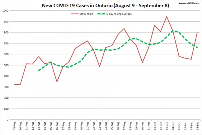 COVID-19 cases in Ontario from August 9 - September 8, 2021. The red line is the number of new cases reported daily, and the dotted green line is a five-day rolling average of new cases. (Graphic: kawarthaNOW.com)