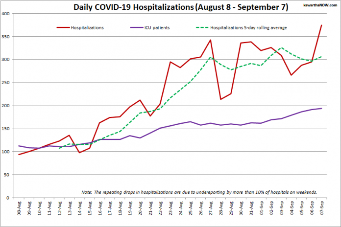 COVID-19 hospitalizations and ICU admissions in Ontario from August 8 - September 7, 2021. The red line is the daily number of COVID-19 hospitalizations, the dotted green line is a five-day rolling average of hospitalizations, and the purple line is the daily number of patients with COVID-19 in ICUs. (Graphic: kawarthaNOW.com)