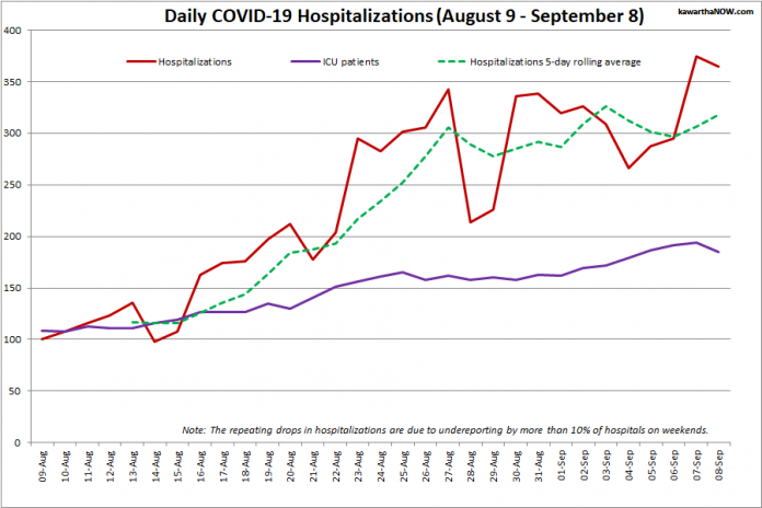 COVID-19 hospitalizations and ICU admissions in Ontario from August 9 - September 8, 2021. The red line is the daily number of COVID-19 hospitalizations, the dotted green line is a five-day rolling average of hospitalizations, and the purple line is the daily number of patients with COVID-19 in ICUs. (Graphic: kawarthaNOW.com)