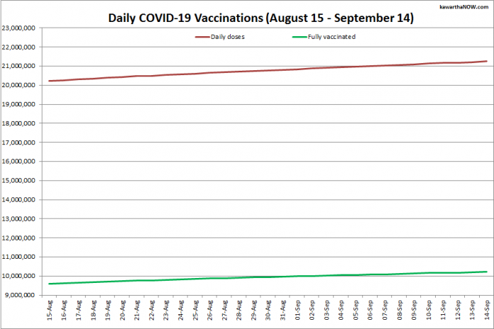 COVID-19 vaccinations in Ontario from August 15 - September 14, 2021. The red line is the cumulative number of daily doses administered and the green line is the cumulative number of people fully vaccinated with two doses of vaccine. (Graphic: kawarthaNOW.com)