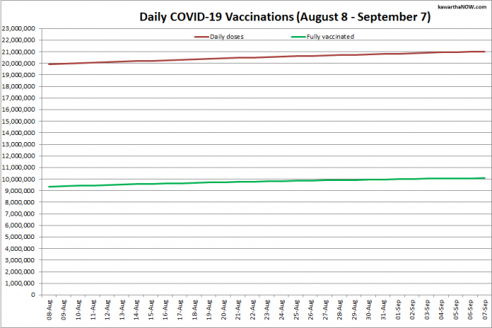 COVID-19 vaccinations in Ontario from August 8 - September 7, 2021. The red line is the cumulative number of daily doses administered and the green line is the cumulative number of people fully vaccinated with two doses of vaccine. (Graphic: kawarthaNOW.com)