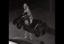 A black-and-white surveillance photo of the suspect in the theft of a $15,000 go-kart from a Norwood home. (Police-supplied photo)