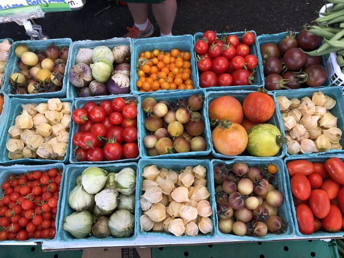 To support our local food system, shop directly from farmers via farm stands and farmers' markets, purchase a Community Shared Agriculture (CSA) share directly, or by locally grown products at grocers and shops.  (Photo: Jillian Bishop)