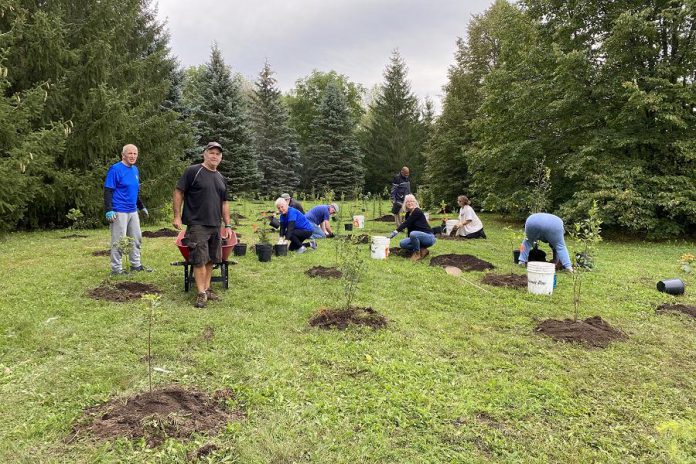 Some of the volunteers who planted 481 new trees along the Rotary Trail in Peterborough on September 25, 2021. The tree planting initiative was supported by the Rotary Club of Peterborough, RBC Dominion Securities,  the Excelsior Group, and the City of Peterborough. (Photo: Councillor Lesley Parnell / Twitter)