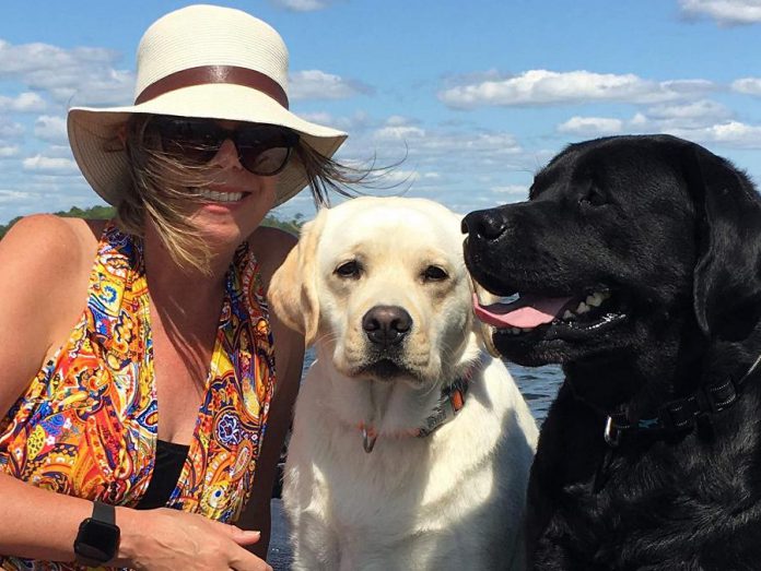 Julie Howe, pictured with her two dogs Otonabee and Charlie, has left Nexicom in Millbrook to become corporate partnership and marketing manager at the Peterborough Humane Society. (Photo courtesy of Julie Howe)
