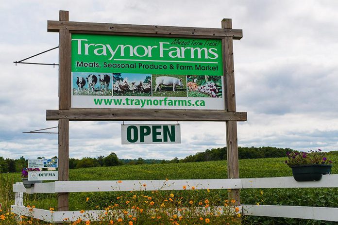 The Traynor family, owners and operators of Traynor Farms in Otonabee-South Monaghan, is the 2021 Farm Family of the Year. (Photo: Traynor Farms)
