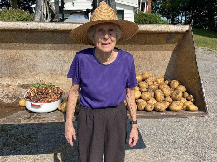 Traynor family matriarch Wilma continues to help out on the farm whenever she can. (Photo:  Traynor Farms / Facebook).