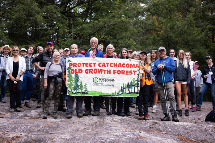 In September 2021, the Wilderness Committee and Catchacoma Forest Stewardship Committee hoasted a guided fall nature hike of the old-growth hemlock stands in Catchacoma forest. (Photo courtesy of Mitch Bowmile)