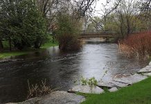 A flood watch means flooding is possible in specific watercourses or municipalities. Municipalities, emergency services, and individual landowners in flood-prone areas should prepare. (Photo: Otonabee Conservation)