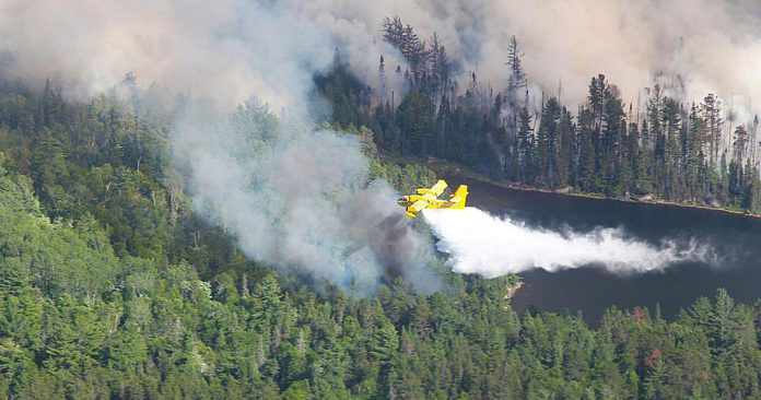 There were 1,198 wildfires in Ontario between April 1 and October 31, 2021, with around 793,325 hectares of forests burned. (Photo: Ontario Ministry of Northern Development, Mines, Natural Resources and Forestry / Facebook)