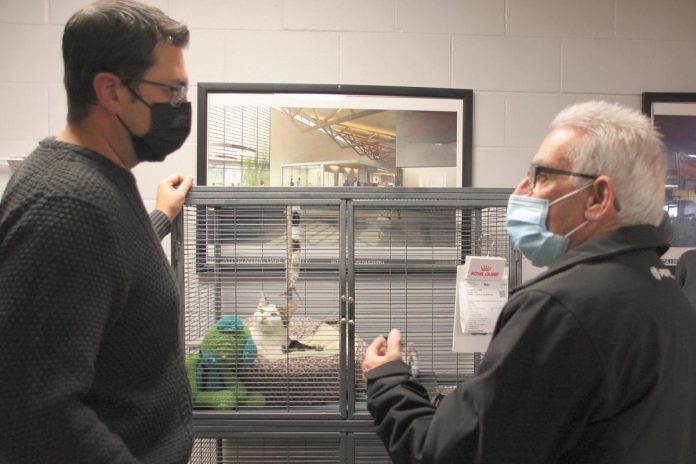 Peterborough Humane Society executive director Shawn Morey and kawarthaNOW writer Paul Rellinger chat in the hallway of the society's existing Lansdowne Street location, with a rendering of the Peterborough Animal Care Centre and a kitten awaiting adoption in the background.  The Lansdowne Street location, which opened in 1956, can no longer keep pace with the growing demand for animal care services and kennel space. (Photo: Jeannine Taylor / kawarthaNOW)