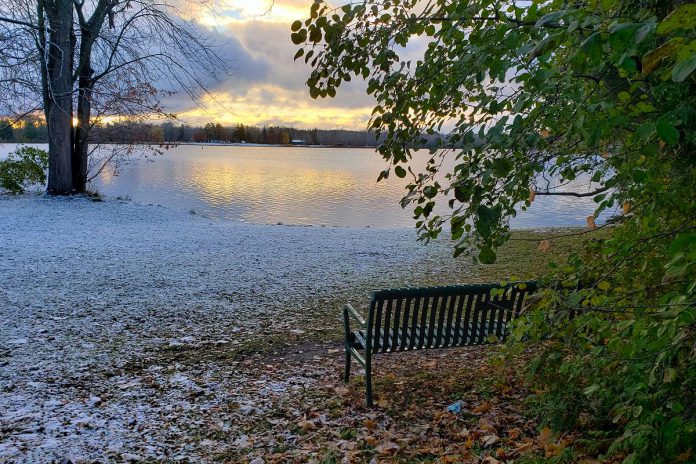 kawarthaNOW publisher Jeannine Taylor's "green wish" for Peterborough in 2022 is that we recognize the need to protect and preserve the waterways that we live on such as Little Lake, seen here from Rogers Cove. (Photo: Jeannine Taylor)