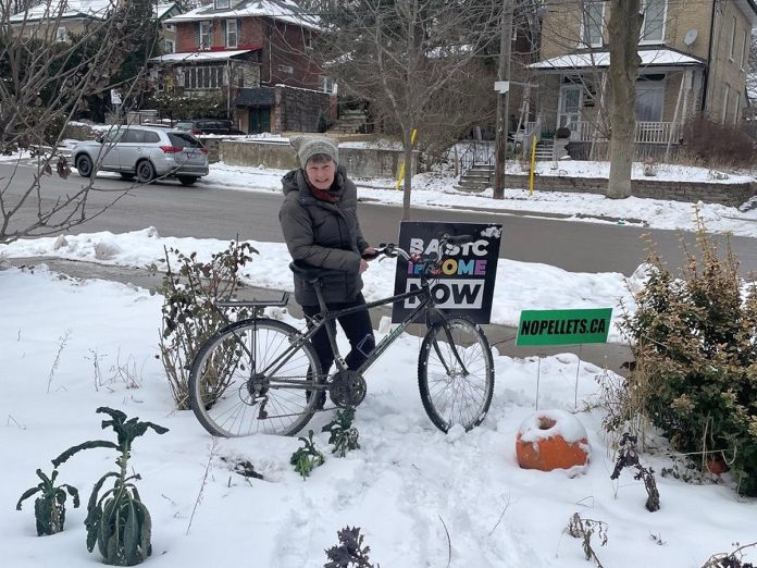 Julie Cosgrove in her front yard showing her winter kale, composting pumpkins, and enthusiasm for winter cycling. (Photo: James Outterson)