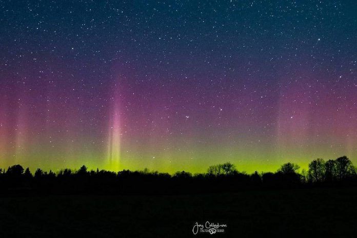 A series of photos of the northern lights (aurora borealis) north of Bobcaygeon by Jay Callaghan was our top Instagram post in November, gathering over 22,500 impressions and more than 1,400 likes. (Photo: Jay Callaghan @caltek / Instagram)