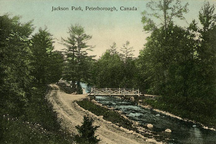 An early postcard showing the original footbridge across Jackson Creek in Jackson Park. (Photo: Hugh Jones Postcard Collection 227 F546 Series 4 via PACAC report)