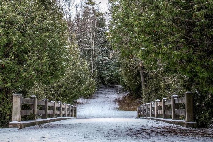 Peterborough city council has voted to designate the entirety of Jackson Park, along with the adjacent Hamilton Park, as a cultural heritage landscape under the Ontario Heritage Act. (Photo: Pat Trudeau)