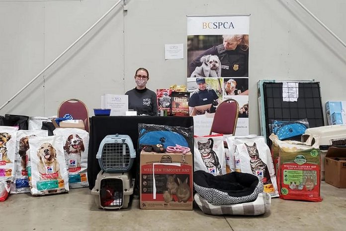 Bonnie Annis and Will Roderick have also launched a fundraiser for the B.C. Society for the Prevention of Cruelty to Animals (SPCA), pictured here with food and other supplies for pets displaced by the floods in Abbotsford, British Columbia. (Photo: B.C. SPCA)