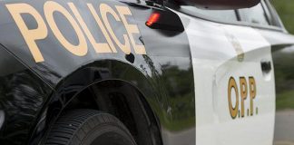 An Ontario Provincial Police (OPP) police car. (Photo: OPP)