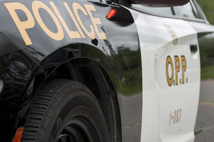 An Ontario Provincial Police (OPP) police car. (Photo: OPP)