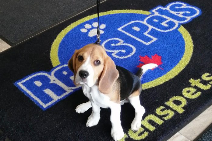 Founded in 1975 in Oakville, Ren's Pets is Canada's largest independent retailer of pet supplies. The company's first store in the Kawarthas is located at 871 Rye Street in Peterborough. (Photo courtesy of Ren's Pets)