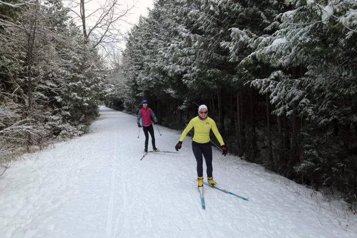 The "Your Metres Matter" Community Challenge asks clubs, businesses, and workplaces that use the Jackson Creek Trail (such as the Peterborough Nordic Club, pictured) to challenge each other in a friendly community competition to see how many metres of revitalization they can support. (Photo courtesy of Otonabee Conservation)
