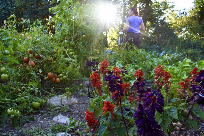 Shaeylyn Wabegijig in the Labyrinth Garden,  located in East City along the Rotary Greenway Trail, where she helped till the soil and grow vegetables in summer 2021, (Photo: Summer Hoffman-Menard)