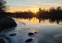 Detail of a photo by Adam Stibbards which claimed first prize in the Lakefield Trail 20th anniversay contest. (Photo supplied by Lakefield Trail Stewardship Committee)