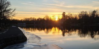 Detail of a photo by Adam Stibbards which claimed first prize in the Lakefield Trail 20th anniversay contest. (Photo supplied by Lakefield Trail Stewardship Committee)