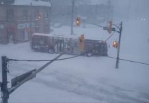 A City of Peterborough transit bus was stuck across Aylmer Street at Hunter Street in downtown Peterborough on the morning of January 17, 2022 after winter storm brought up to 50 centimetres (20 inches) of snow to the area. Transit services have been suspended until further notice. (kawarthaNOW screenshot of video by Steve Guthrie @SkunkRancher on Twitter)