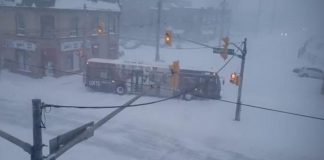 A City of Peterborough transit bus was stuck across Aylmer Street at Hunter Street in downtown Peterborough on the morning of January 17, 2022 after winter storm brought up to 50 centimetres (20 inches) of snow to the area. Transit services have been suspended until further notice. (kawarthaNOW screenshot of video by Steve Guthrie @SkunkRancher on Twitter)
