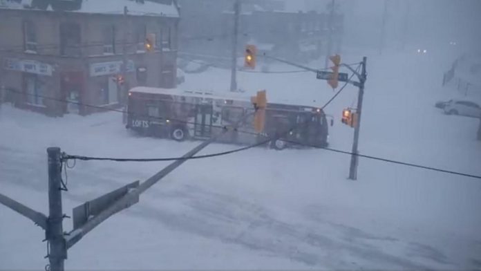 A City of Peterborough transit bus was stuck across Aylmer Street at Hunter Street in downtown Peterborough on the morning of January 17, 2022 after winter storm brought up to 50 centimetres (20 inches) of snow to the area. Transit services have been suspended until further notice. (kawarthaNOW screenshot of video by Steve Guthrie @SkunkRancher on Twitter)