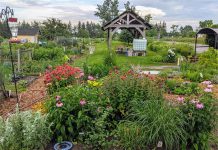 The pollinator garden at Lindsay Community Gardens is one of seven winners of the City of Kawartha Lakes' Bee Hero Garden Challenge. Work on the garden was led by Bonita O'Neill and Elizabeth Elliot with the help of all the community gardeners. (Photo courtesy of City of Kawartha Lakes)