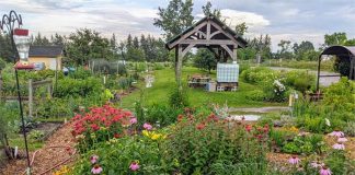 The pollinator garden at Lindsay Community Gardens is one of seven winners of the City of Kawartha Lakes' Bee Hero Garden Challenge. Work on the garden was led by Bonita O'Neill and Elizabeth Elliot with the help of all the community gardeners. (Photo courtesy of City of Kawartha Lakes)