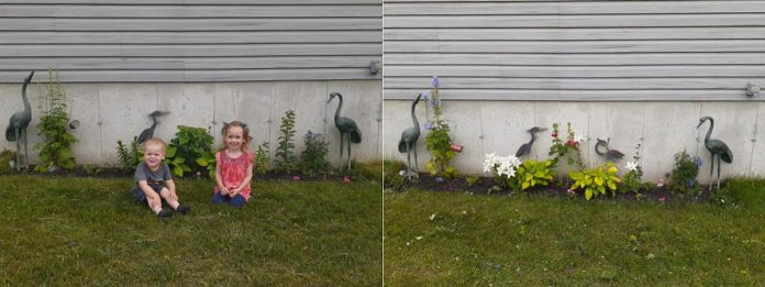 Brynley and Bryce Ridgway's garden before and after. (Photos courtesy of City of Kawartha Lakes)